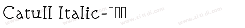 Catull Italic字体转换
